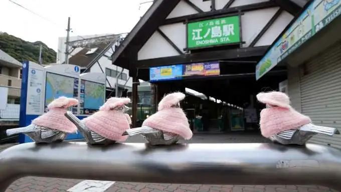 Người phụ nữ đan áo cho đàn chim sắt, biến chúng thành biểu tượng du lịch của Nhật Bản - 6